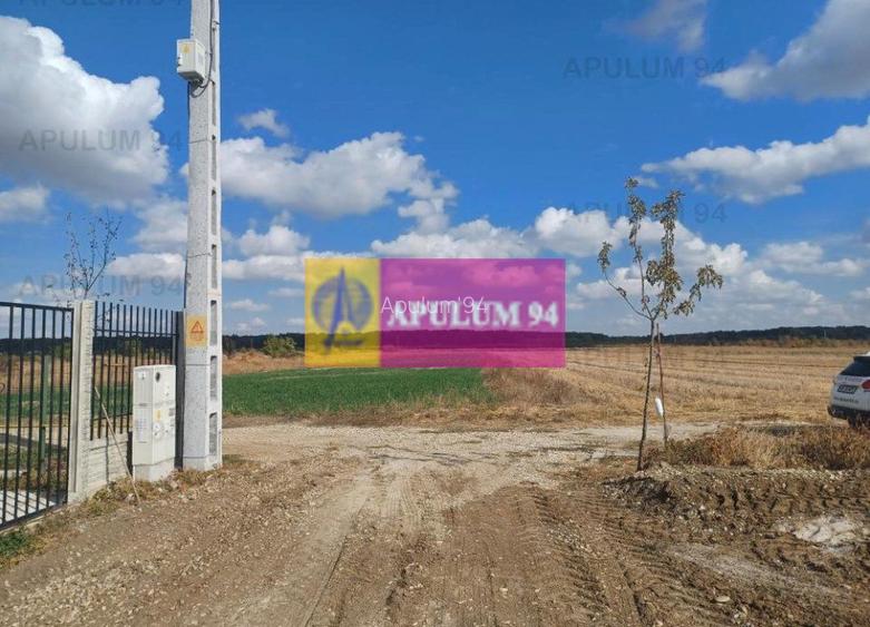 Gulia, teren intravilan curti-constructii, 523 mp - 4