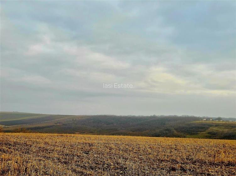 Teren pentru casa cu autorizatie si cu vedere frumoasa - 8