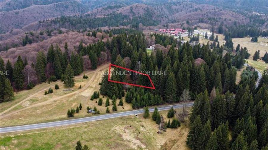 Teren cu potential:1.000 mp,proiect turistic/rezidential,Poiana Brasov - 10