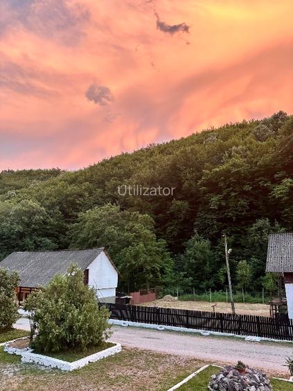 Case cu teren 1.254 mp – poziție excelentă, la 2 km de centrul Reșiței - 6