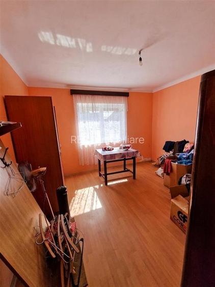 RECO Teren mare cu 2 case in Sabolciu, com. Sacadat - 2
