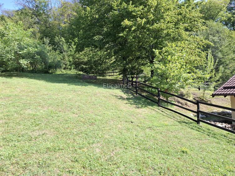 Pensiune agroturistică lângă București | Business funcțional | Iedera de Sus, DB - 18