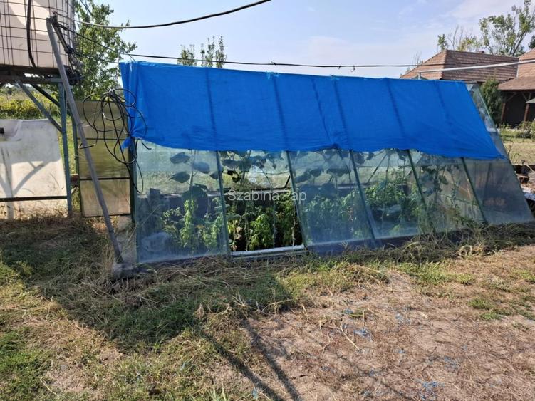 Se vinde casă + teren generos în comuna Acîș (aprox. 38 km de Satu Mare) - 7