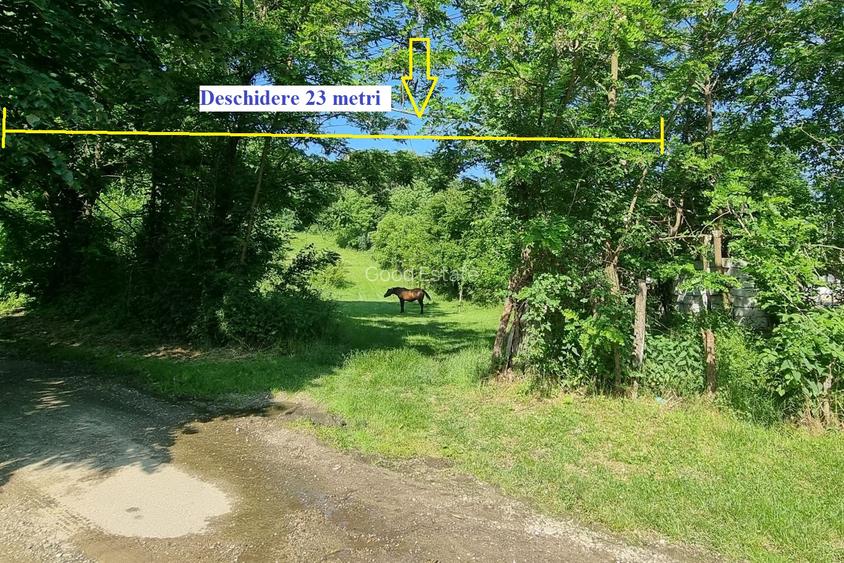 VANZARE teren intravilan 6011mp Mislea Scorteni Prahova Telega Prahova utilitati - 8