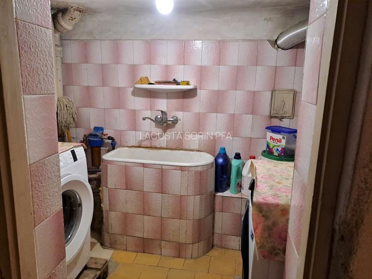 Cotroceni-Parcul Romniceanu, singur curte, garaj, curte generoasa - 10