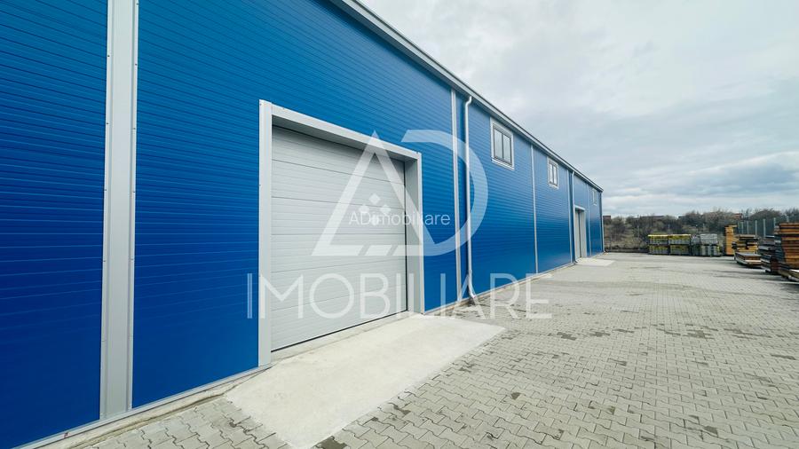 Închiriere hală 1000 mp situată în strada Narciselor , Târgu-Jiu - 11