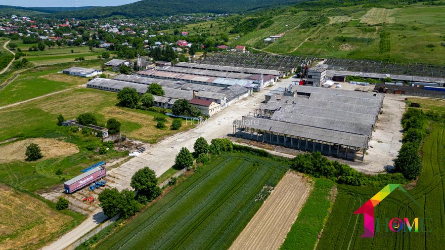 Teren 100.000 mp + Spatii Industriale Bacau - 7