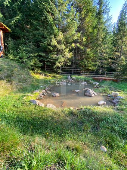 Afacere la cheie pensiune complet utilata si mobilata,energie verde, natura pura - 5