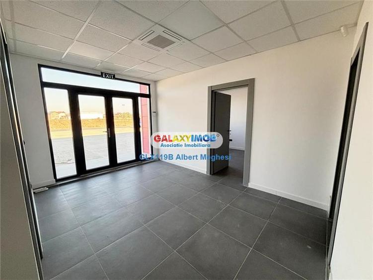 Inchiriere hala depozitare Parc Industrial TBM Rudeni - 12