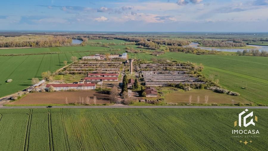 De vanzare Complex Zootehnic Suine Jud. Arad SU 15.30ha, Ferma, Grajd - 10