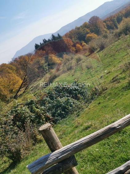 Teren aproape de pădure, situat într-o zonă aerisită - 14