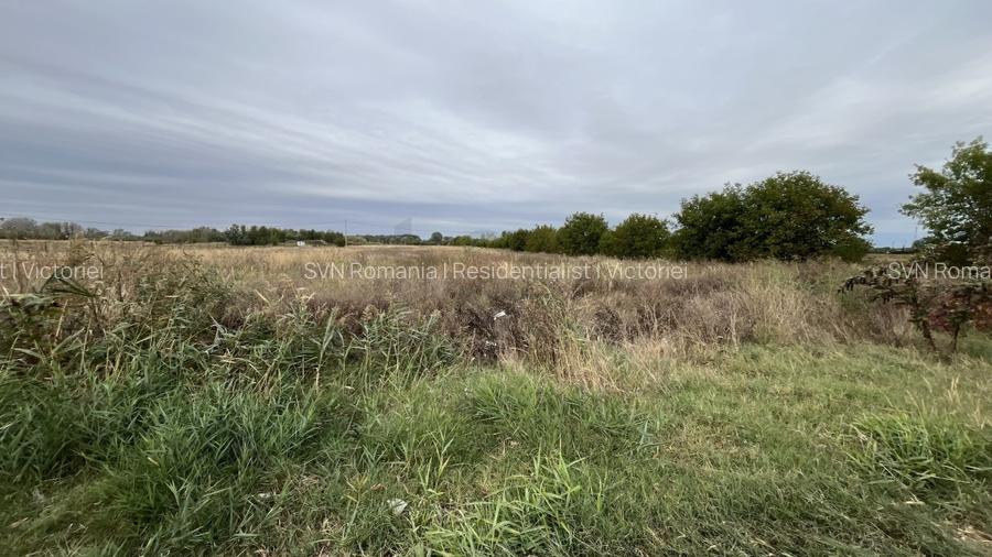 REL4001208 Teren intravilan oportunitate de investitie - 3