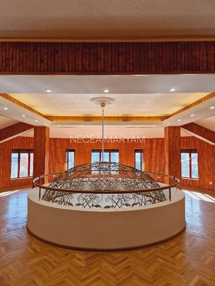 VANZARE VILA + TEREN + HALA IN VLADICEASCA (SNAGOV) - 10