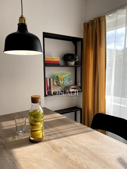 Garsoniera renovata modern str Nada Florilor - Teiul Domnei - 83