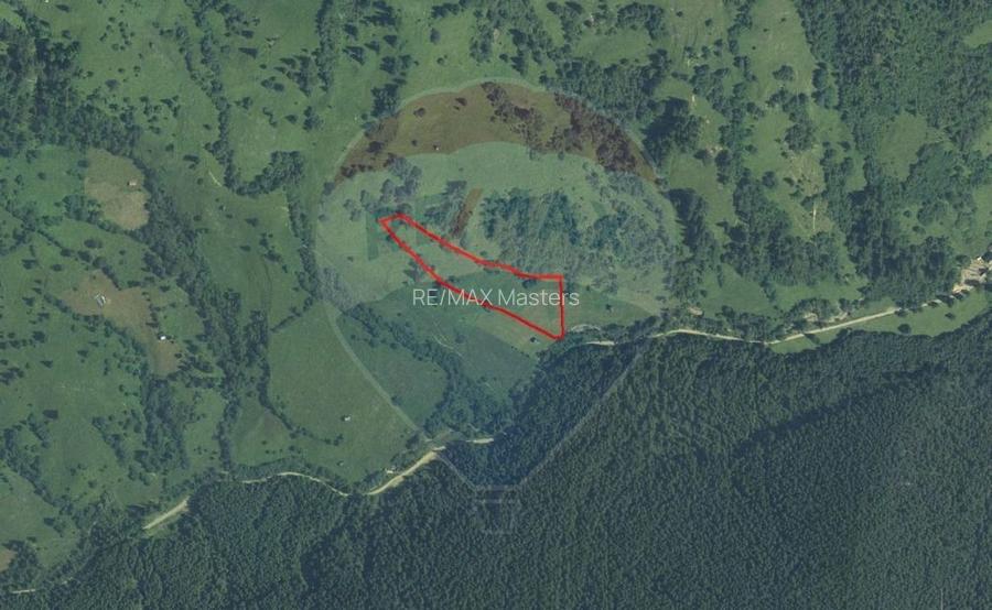 Teren 12,127mp Frasin / Drumul Forestier Valea Seacă - 14