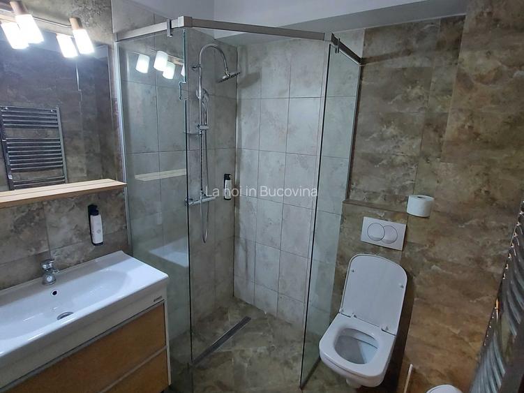 Esti interesat de proprietate si afacere la munte in Bucovina - 7