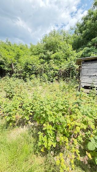 BAIA SPRIE - spre Cavnic Vila D+P+E 168mp + anexa cu teren 1526mp! - 7