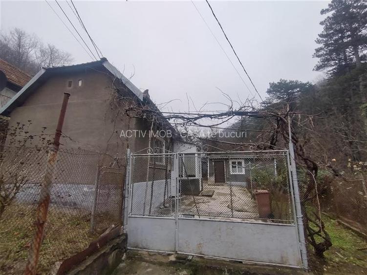 Oravita, Casa de Vacanta, PRET FIX, Zona Lacul Mare - 15