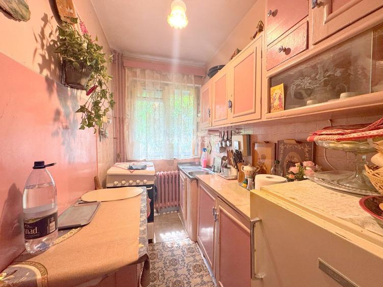 Apartament cu 3 camere la parter-zona Dacia Timisoara - 8