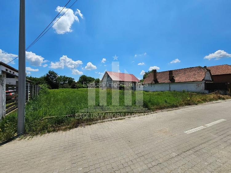 Teren intravilan | La asfalt | 950 mp | 14 ml deschidere | Partos - 3