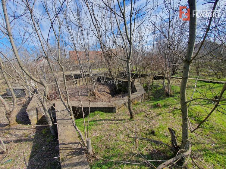 Teren intravilan 2840 mp cu fundatie - Jebel - 6