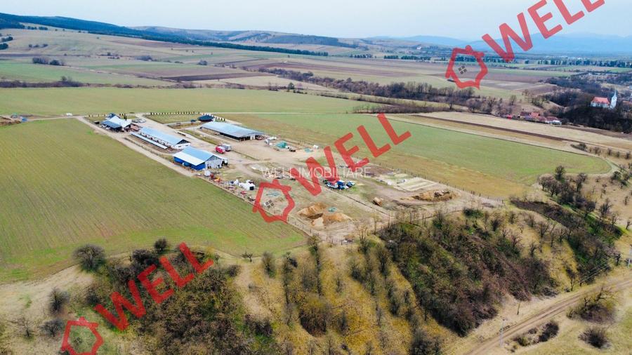 Ferma complet echipată de 22 de hectare de vânzare în Zoltan! - 5