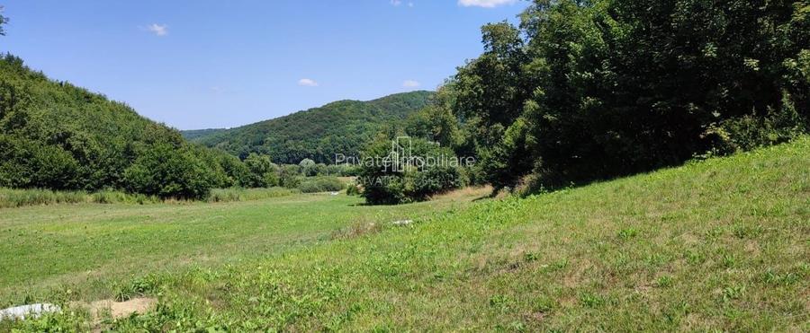 Teren de vanzare, 20.000Mp , Comuna Danes, drumul Crisului - 8