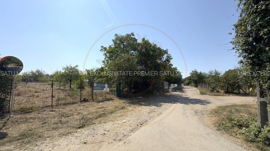 De vanzare Teren extravilan 2000 mp Carei - Gradina Viilor, Valea Tireamului - 7