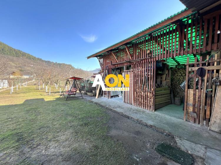 Casa de vanzare pretabila 2 familii, garaj, livada, comuna Pianu - 33