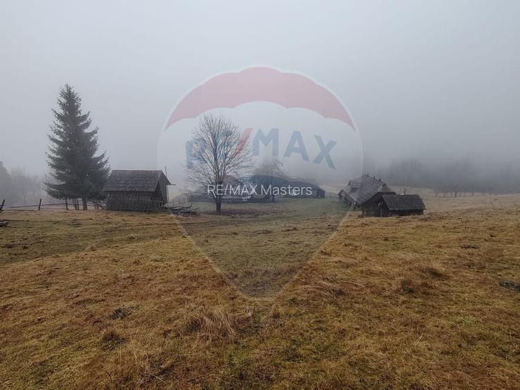 Teren INTRAVILAN 23.238m.p. Dorna-Arini / Cozănești - 7