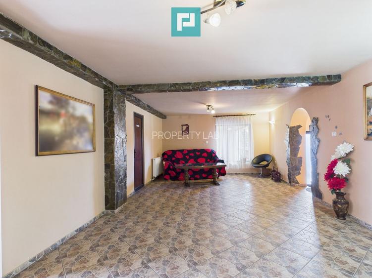 Pensiune la Orțișoara - 10