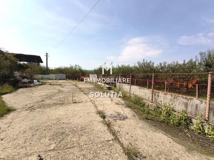 Complex industrial  cu teren 18,672 mp Târgu Lăpuș - 23