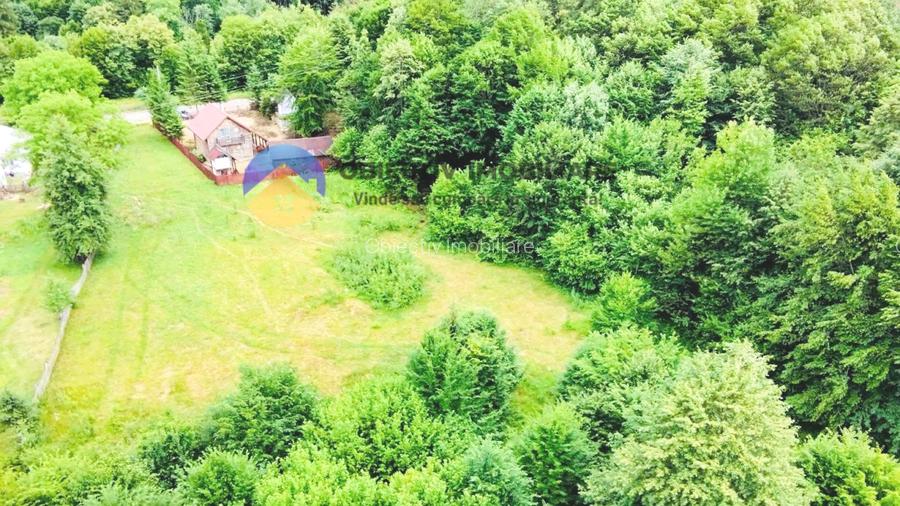 TEREN intravilan   8.000 mp TARCAU - 5