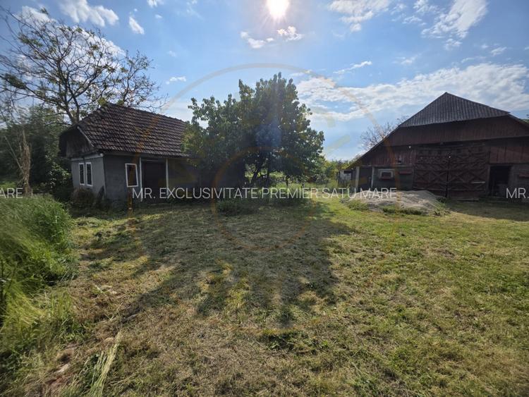 De Vânzare Casă Valea Vinului - 3