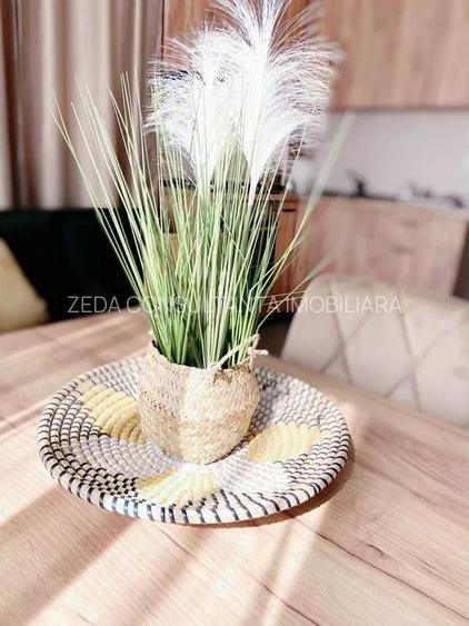 Studio Timpuri Noi - Nerva Traian | Centrala proprie - 4