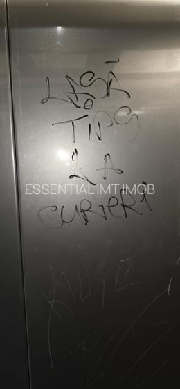 Spatiu comercial de vanzare - 2