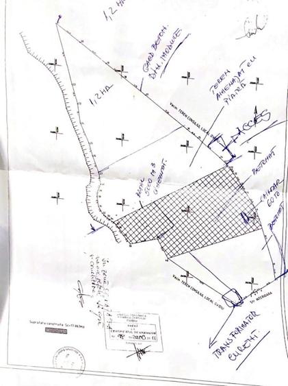 Ovidiu 6 ha teren intravilan construibil îngrădit și platforma betonata. - 2