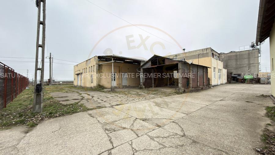 Inchiriere Cladire Productie, Depozitare 278 mp -Teren 1380 mp - Carei  - 10