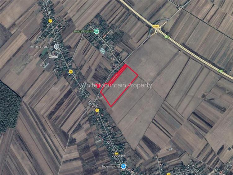 Teren 12 ha de vanzare, Jugureni, Autostrada A1 - 2