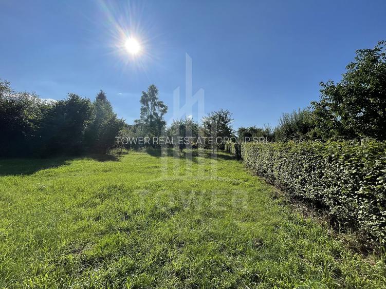 Teren deosebit cu cabană din lemn, Tocile – locație liniștită - 5