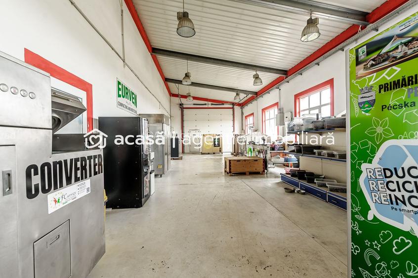 Hale depozitare/producție 2.000 mp si 10.000 mp teren în Pecica - 9