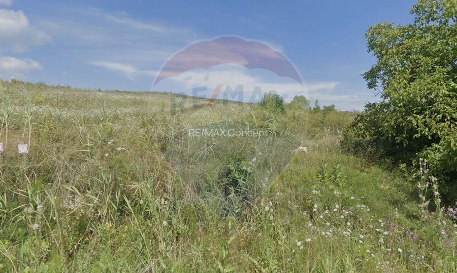 Teren Pădureni (Chinteni), intravilan, parcelabil - 2