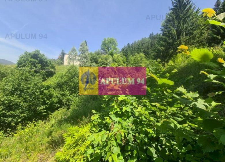 Teren de vânzare în Bușteni - Zona Zamora - 2