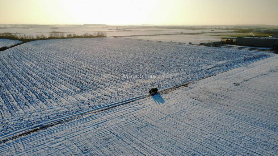 Calea Sagului-INCONTRO- teren potential industrial- 17800mp - 7