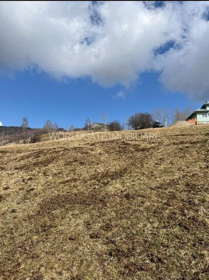 Vanzare Teren cu Punct de Belvedere in Moieciu zona Magura-Pestera - 6