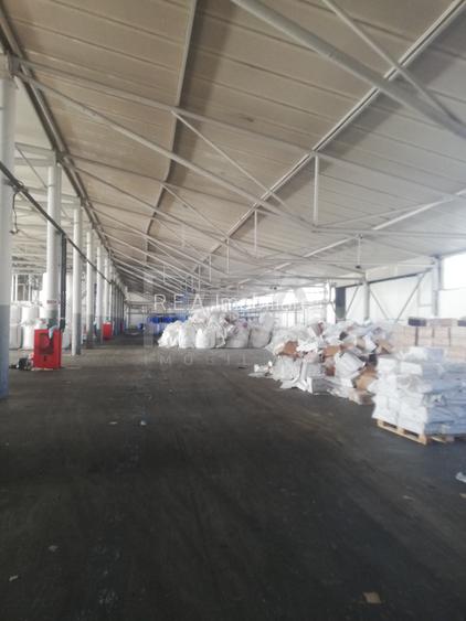 HALA FILIPESTII DE PADURE - complet echipata, pregatita pt productie sau depozit - 7