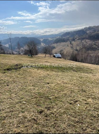 Vanzare Teren cu Punct de Belvedere in Moieciu zona Magura-Pestera - 18