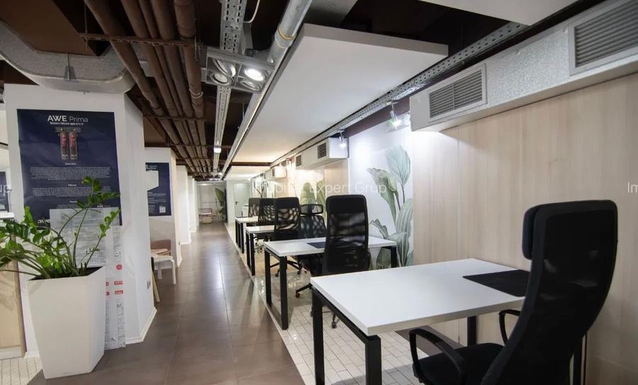 Kiseleff-Piata 1Mai subsol si Parter amenajat si utilat - 10