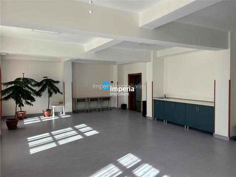 Birouri de inchiriat Copou Sararie - 3