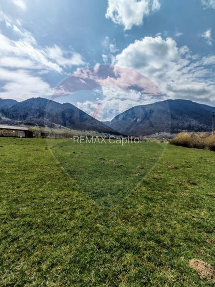 Teren 1,404mp Zarnesti / Strada FN - 4